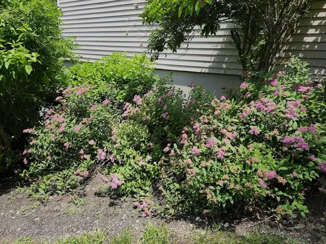 56 Hydrangea Circle Naples ME 04055
