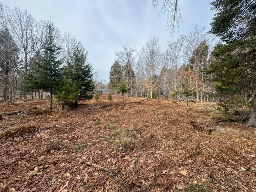 M11L10 Off Gordon Hill Road Thorndike ME 04986