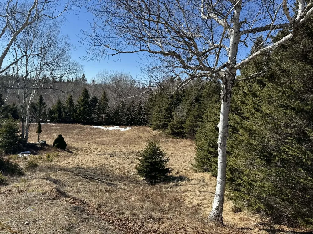 Map 17 Basin Road Addison ME 04606