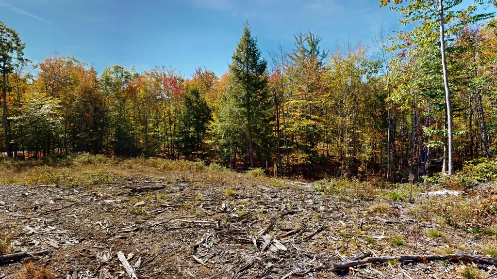 Lot 21b Station Road Hebron ME 04238