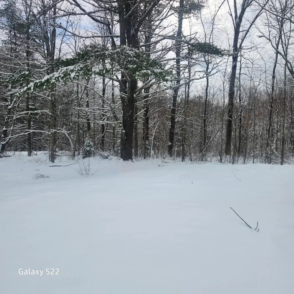 286 Doyle Road Whitefield ME 04353
