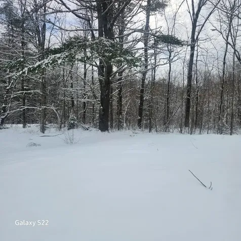 286 Doyle Road Whitefield ME 04353
