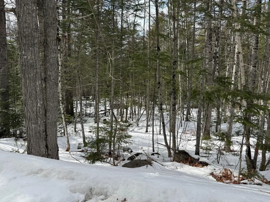 2001 West Street Carrabassett Valley ME 04947