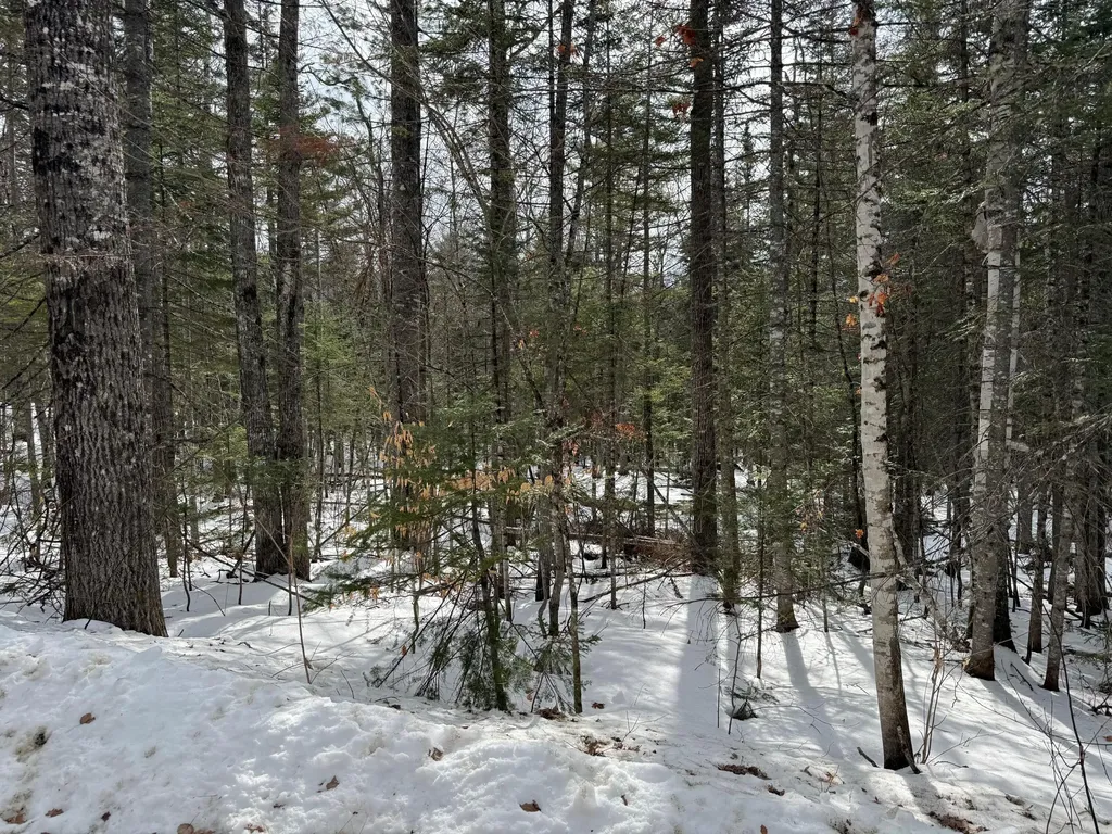 2001 West Street Carrabassett Valley ME 04947