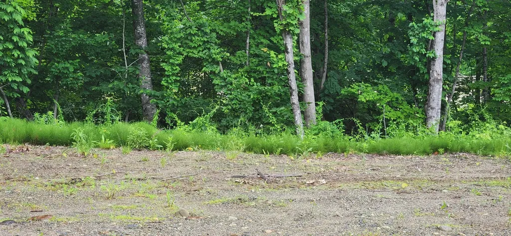 004 Titcomb Hill Road Farmington ME 04938