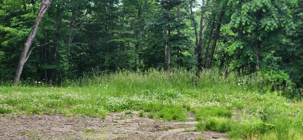 004 Titcomb Hill Road Farmington ME 04938