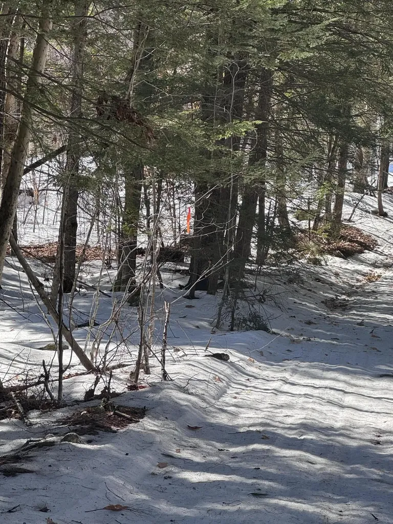 0 Lakeside Drive Windham ME 04062