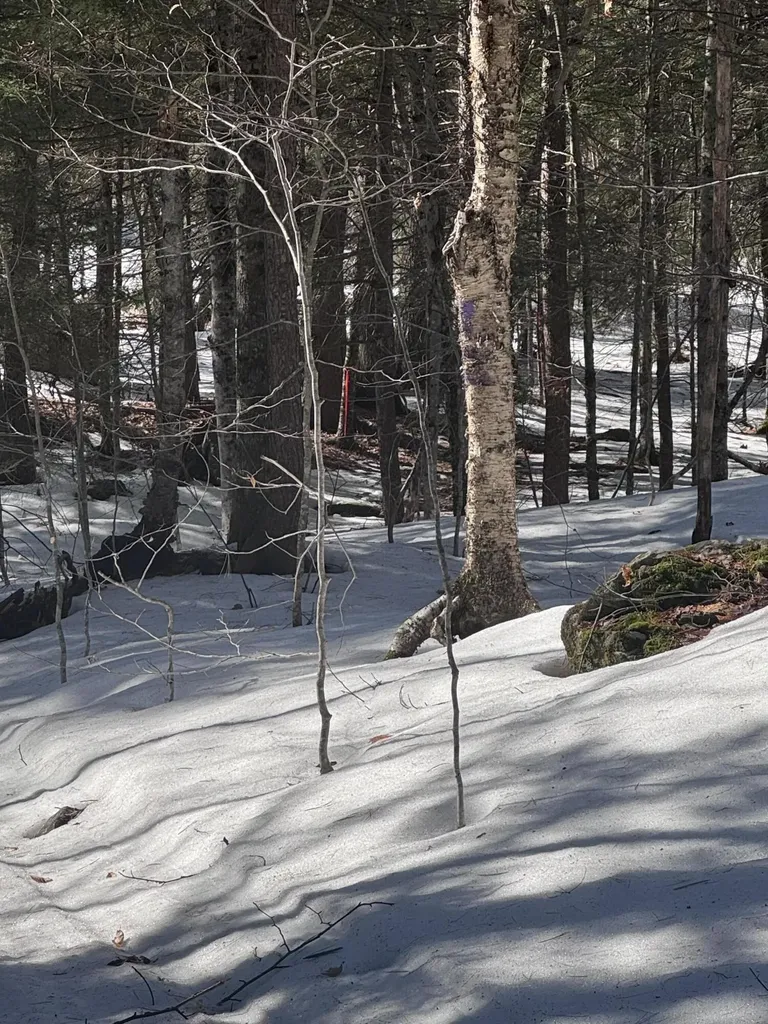 Lot #10 Goose Pond Road Windham ME 04062