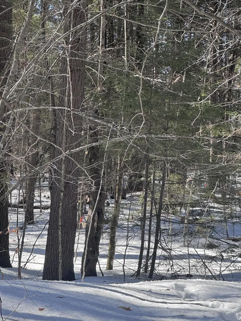 Lot #10 Goose Pond Road Windham ME 04062