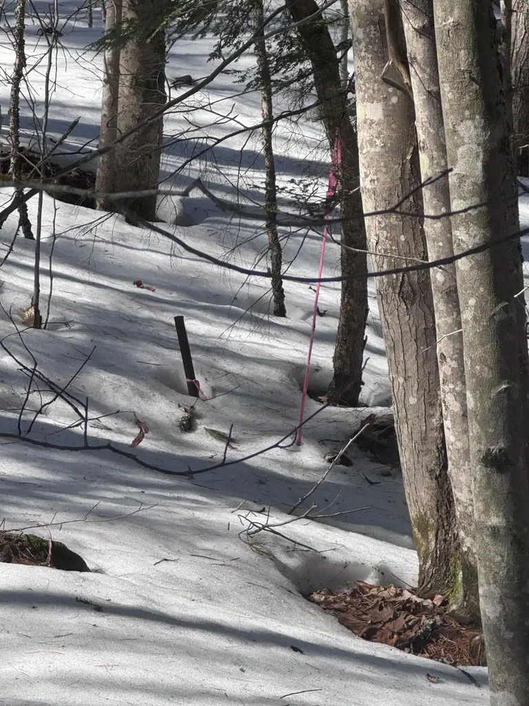Lot #10 Goose Pond Road Windham ME 04062