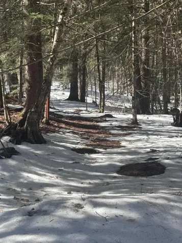Lot #10 Goose Pond Road Windham ME 04062