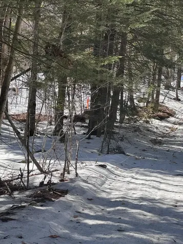 0 Lakeside Drive Windham ME 04062