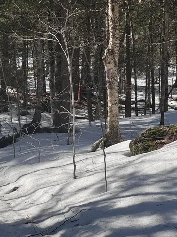 0 Lakeside Drive Windham ME 04062