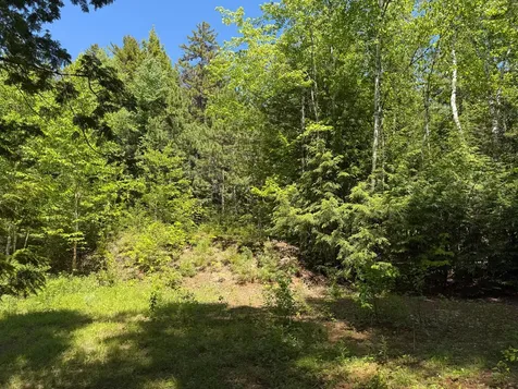 Lot 3 East Shore Road Lakeville ME 04487