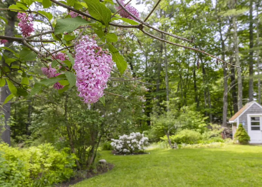 71A Black Point Road New Gloucester ME 04260