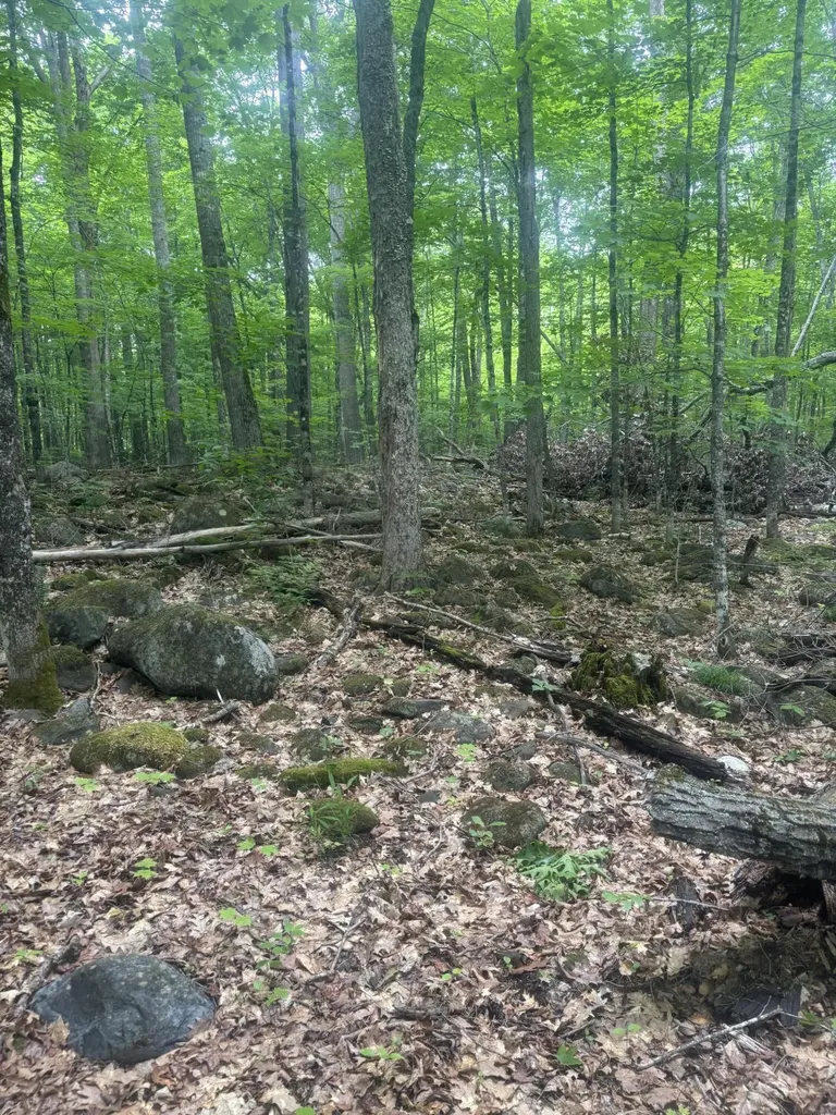 0000 Stream Road Moscow ME 04920