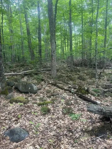 0000 Stream Road Moscow ME 04920