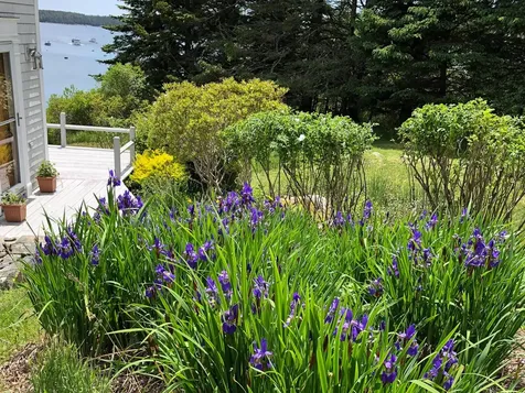 14 Deer Run Lane Swans Island ME 04685