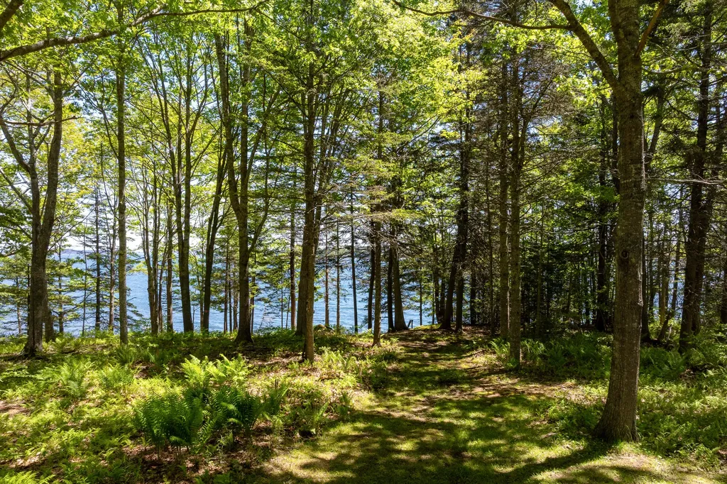 153 Back Shore Road Bristol ME 04564