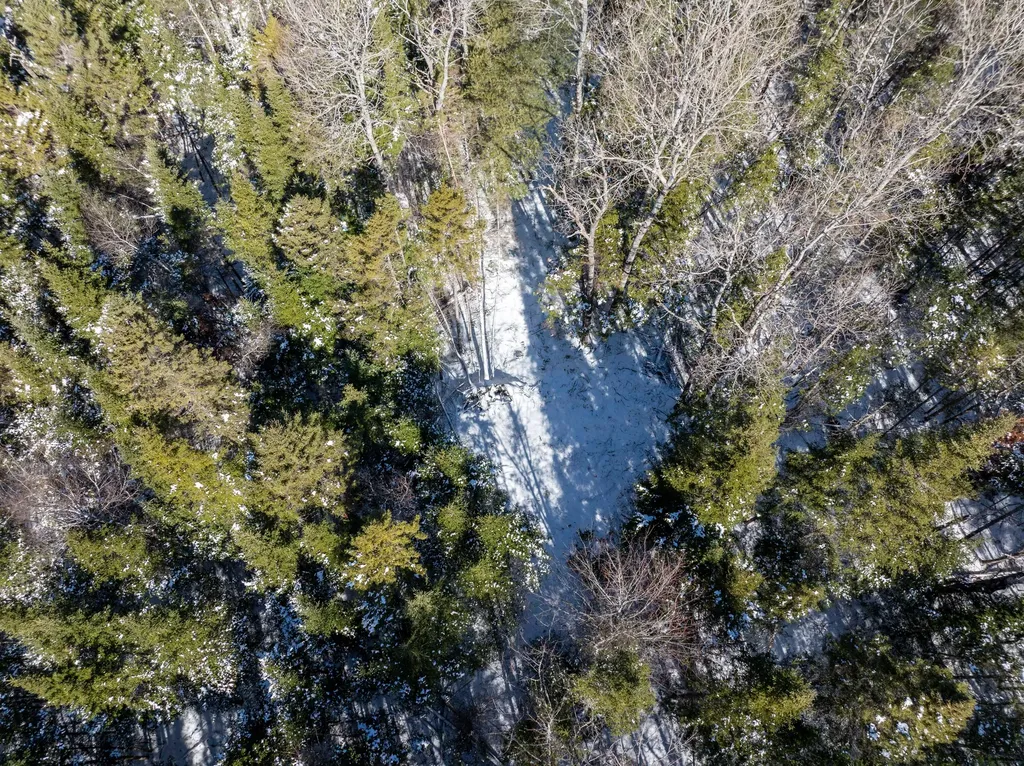 382 Woodland Road Princeton ME 04668