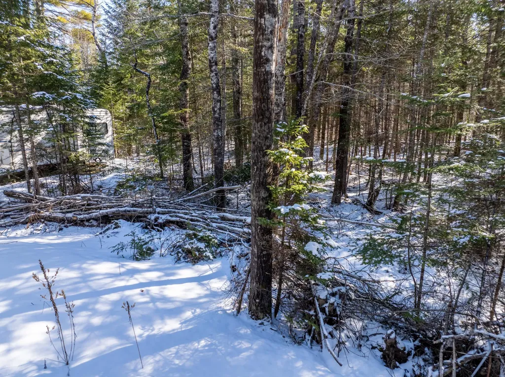 382 Woodland Road Princeton ME 04668