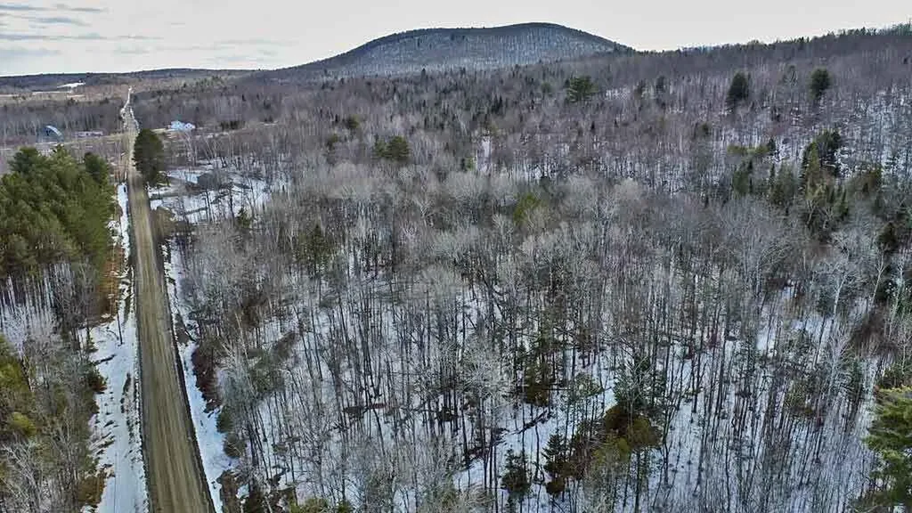Lot 11 Drews Mill Road Linneus ME 04730