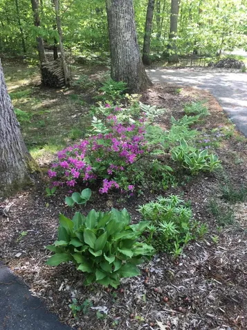 22 Dyer Lane Casco ME 04015