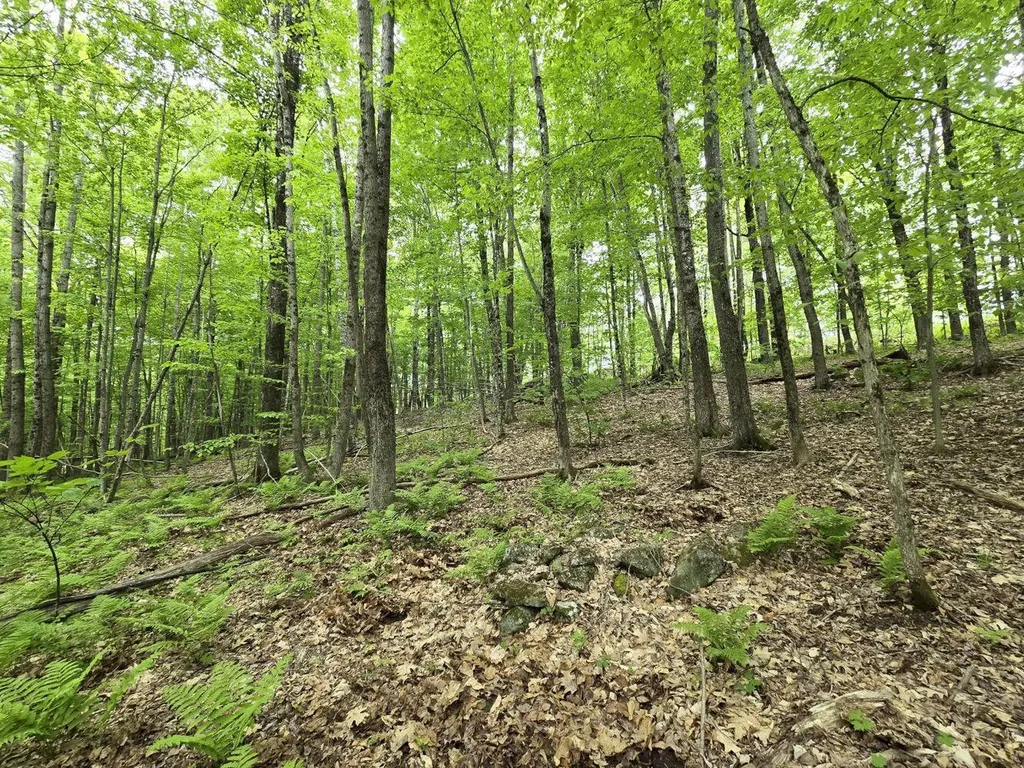 Lot 26 Canton Mountain Road Jay ME 04239