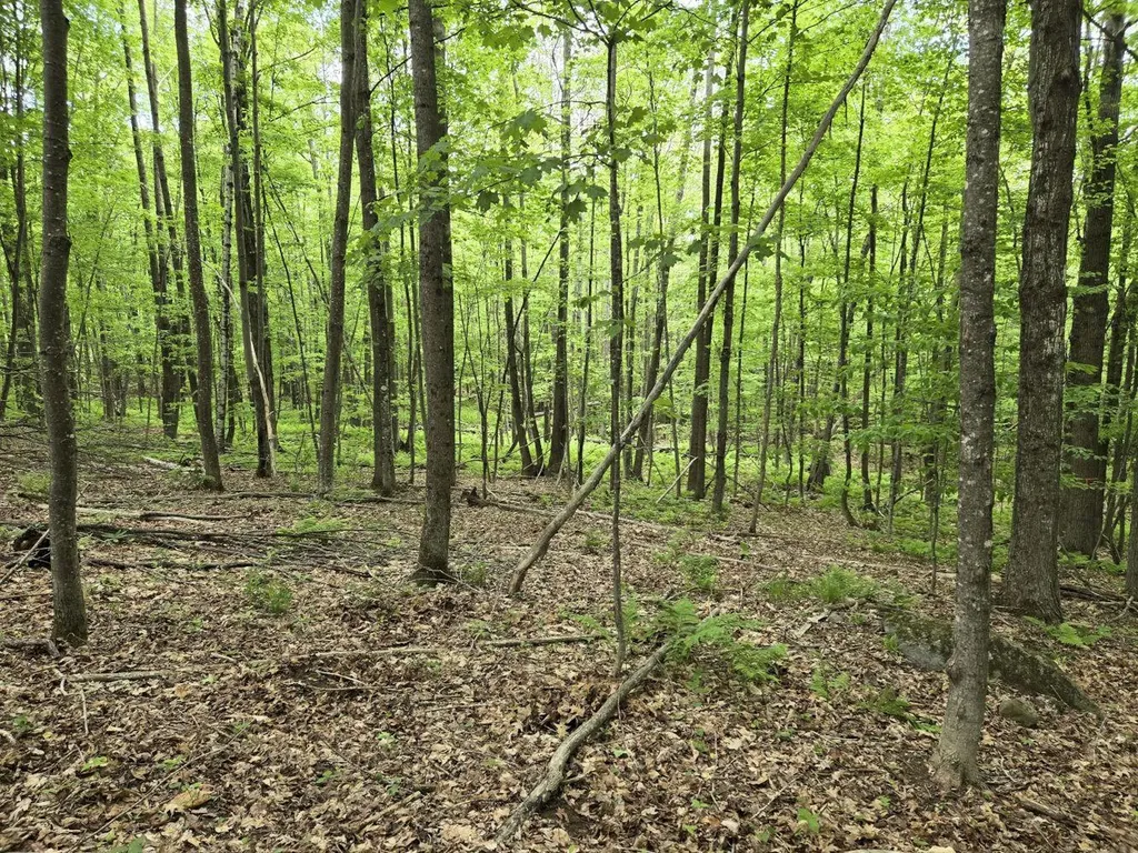 Lot 26 Canton Mountain Road Jay ME 04239