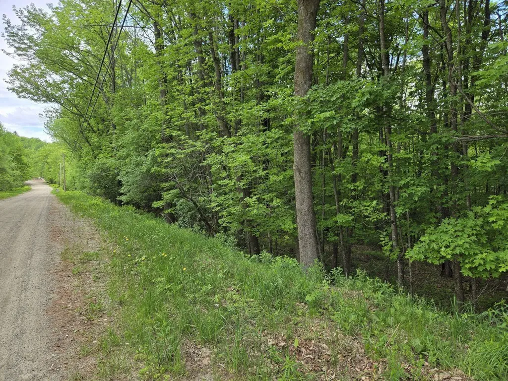 Lot 26 Canton Mountain Road Jay ME 04239