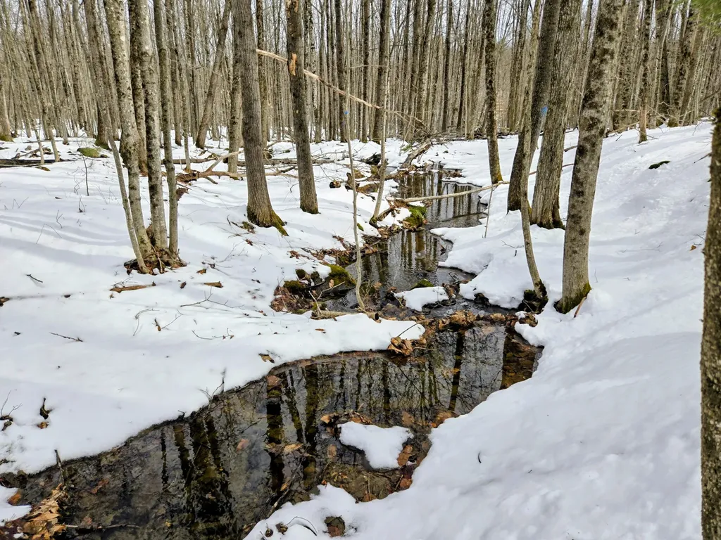 Lot 26 Canton Mountain Road Jay ME 04239