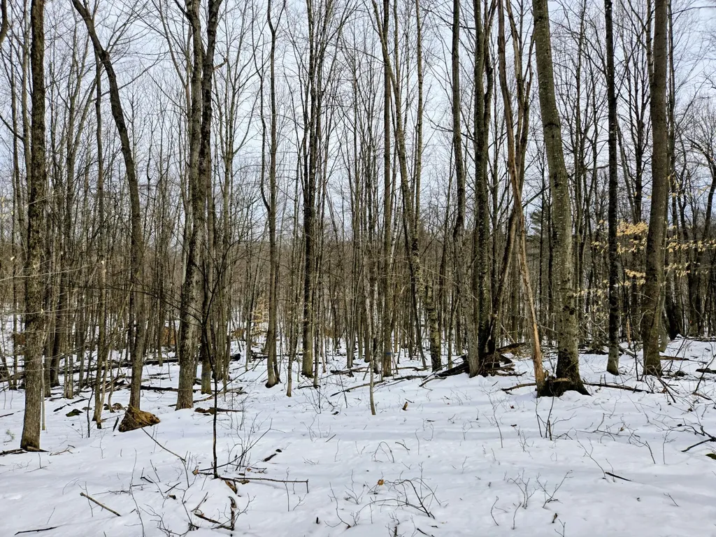 Lot 26 Canton Mountain Road Jay ME 04239