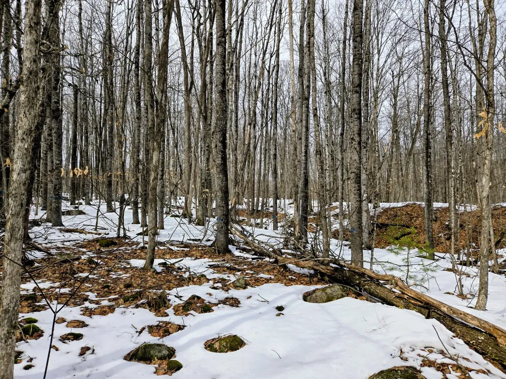Lot 26 Canton Mountain Road Jay ME 04239