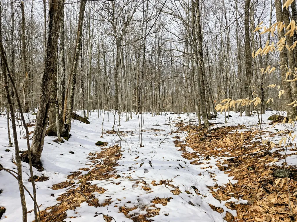 Lot 26 Canton Mountain Road Jay ME 04239
