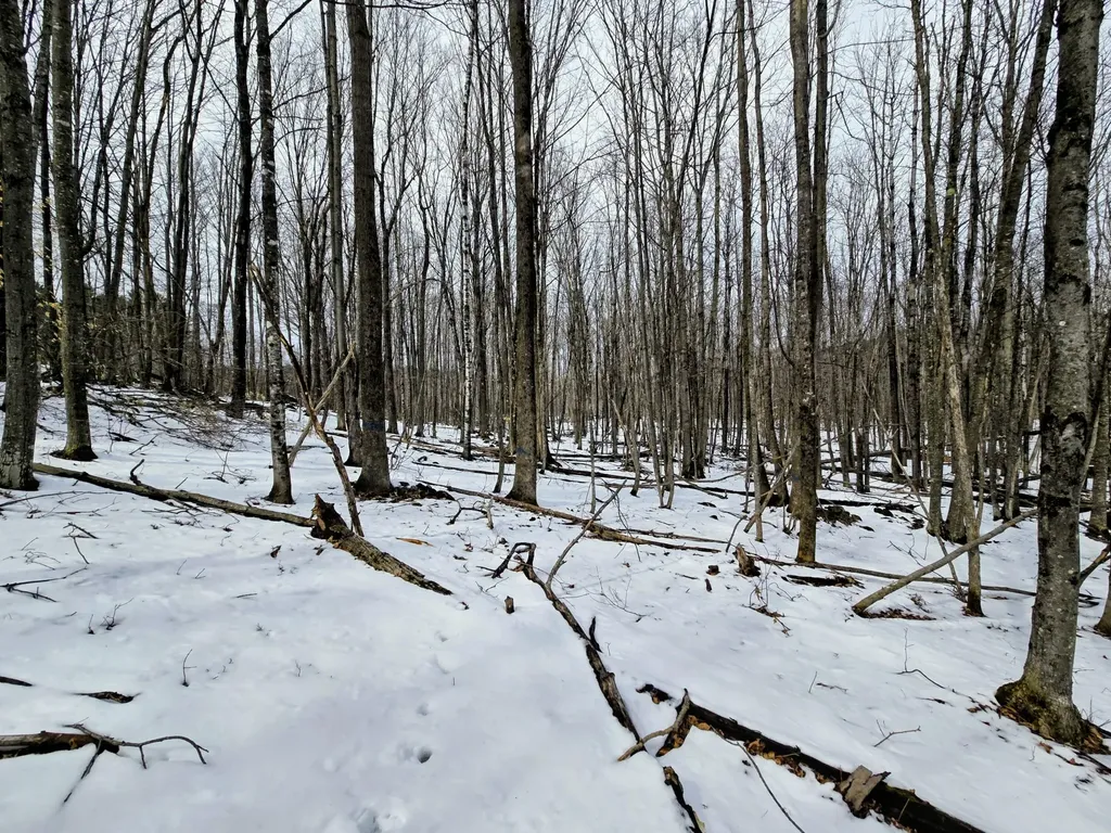 Lot 26 Canton Mountain Road Jay ME 04239