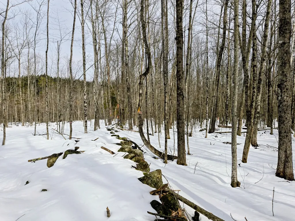 Lot 26 Canton Mountain Road Jay ME 04239