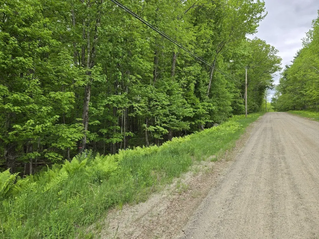 Lot 26 Canton Mountain Road Jay ME 04239