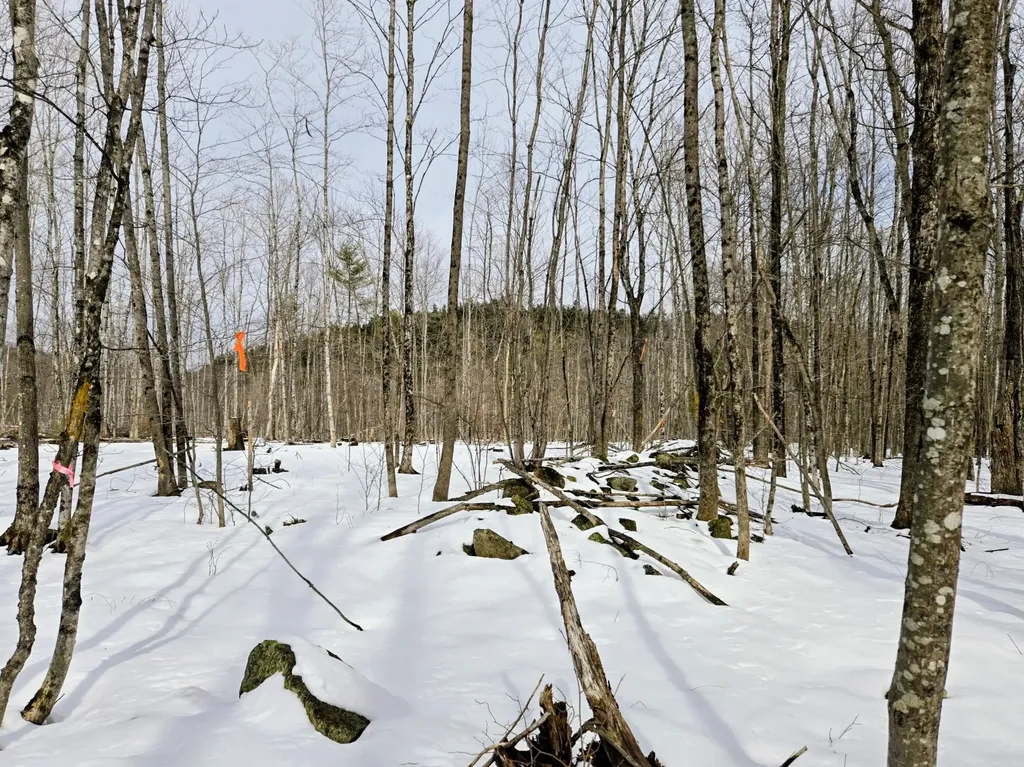 Lot 26 Canton Mountain Road Jay ME 04239