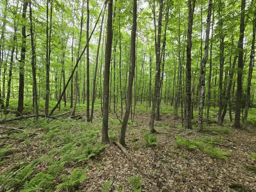 Lot 26 Canton Mountain Road Jay ME 04239