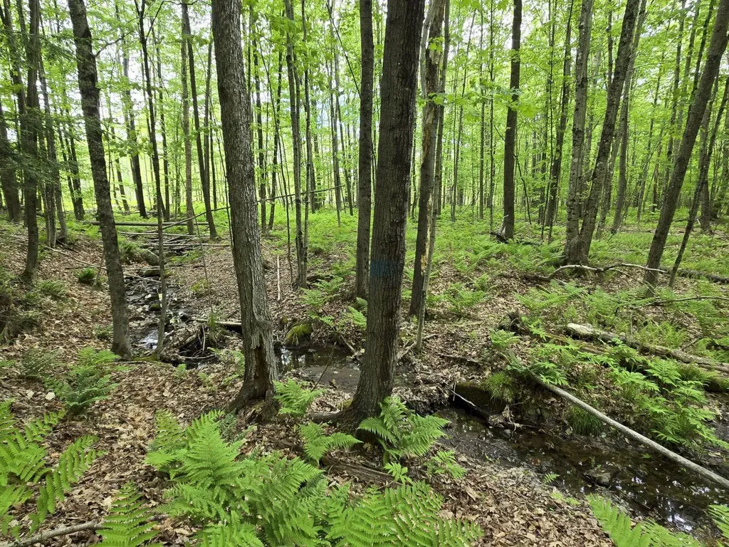Lot 26 Canton Mountain Road Jay ME 04239