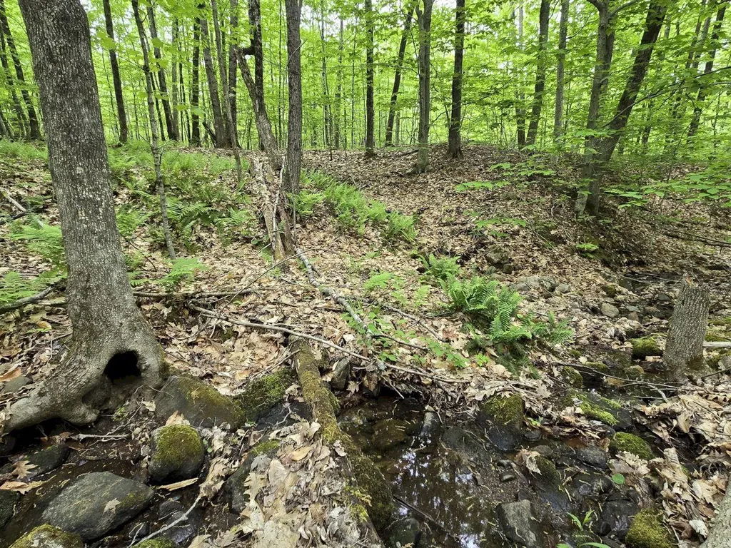 Lot 26 Canton Mountain Road Jay ME 04239
