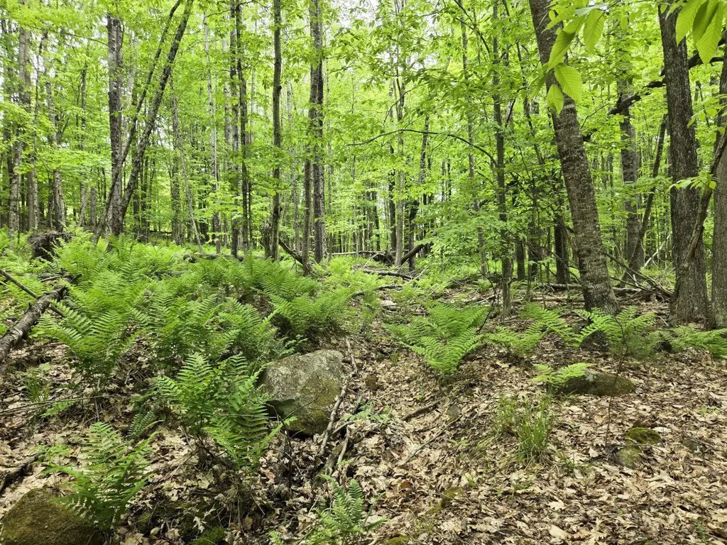 Lot 26 Canton Mountain Road Jay ME 04239