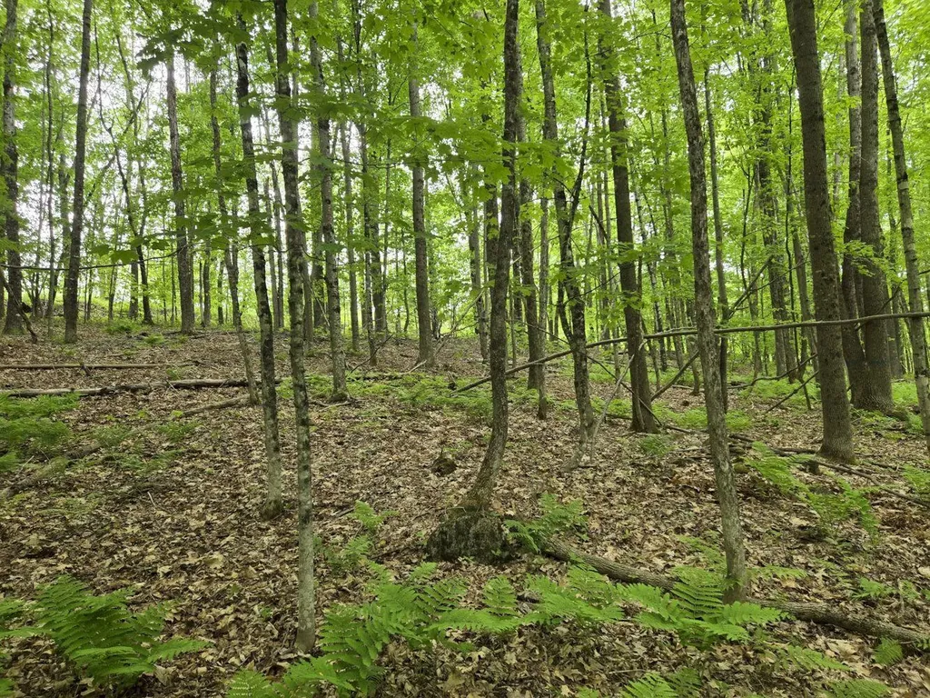 Lot 26 Canton Mountain Road Jay ME 04239