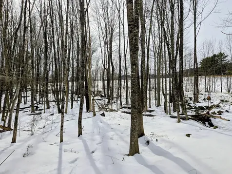 Lot 26 Canton Mountain Road Jay ME 04239