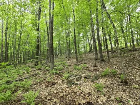 Lot 26 Canton Mountain Road Jay ME 04239