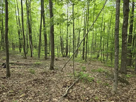 Lot 26 Canton Mountain Road Jay ME 04239