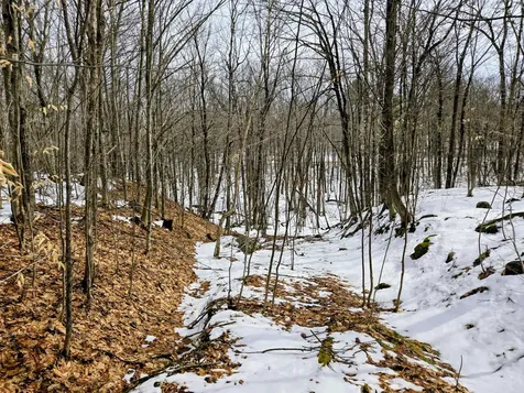 Lot 26 Canton Mountain Road Jay ME 04239