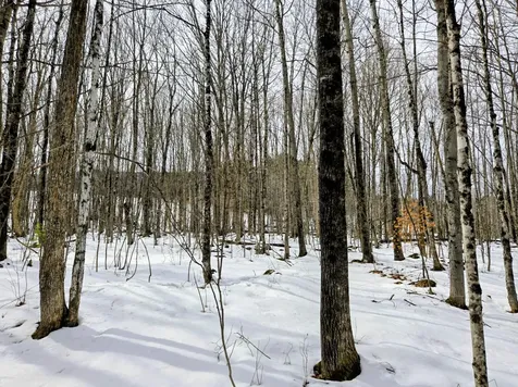 Lot 26 Canton Mountain Road Jay ME 04239