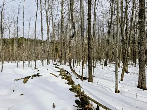 Lot 26 Canton Mountain Road Jay ME 04239