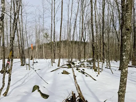 Lot 26 Canton Mountain Road Jay ME 04239